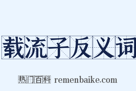 载流子反义词是什么意思的图片